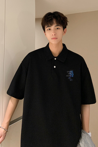 已注册/夏季polo衫男生运动短袖T恤宽松体恤打底衫PL1069/P45图片