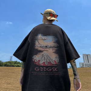 已注册/夏季黑色休闲通勤短袖T恤男大码体恤打底衫DT5955/P25图片