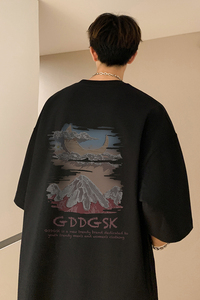 已注册/夏季显瘦经典款短袖T恤男生宽松体恤打底衫DT5955/P25图片