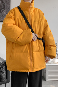 已注册/冬季立领羽绒棉衣男加厚面包棉服情侣棉袄外套WY5216/P88图片