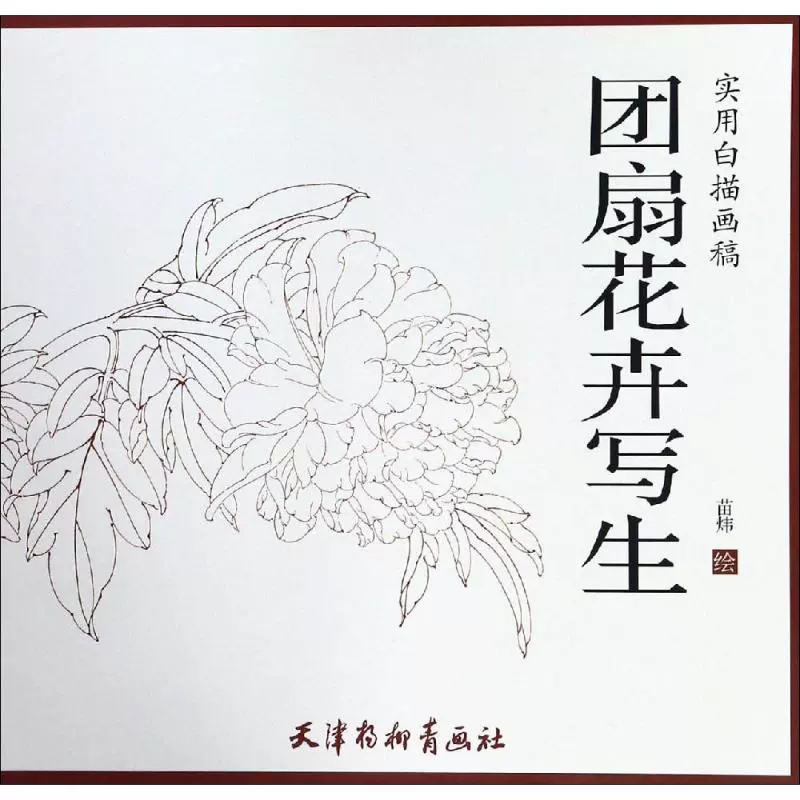团扇花卉写生 实用白描画稿 苗炜绘 荷花 杜鹃 国画基础技法教程扇面画团扇画花卉画线描临摹书画册画谱 工笔画白描 天津杨柳青