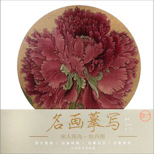 【正版书籍】宋人花鸟(牡丹图)/名画摹写