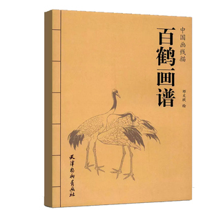 中国画线描 邓文欣绘 天津杨柳青画社 云鹤临摹画册范本作品集书 百鹤画谱 白描仙鹤作品集 仙鹤画法工笔画白描底稿