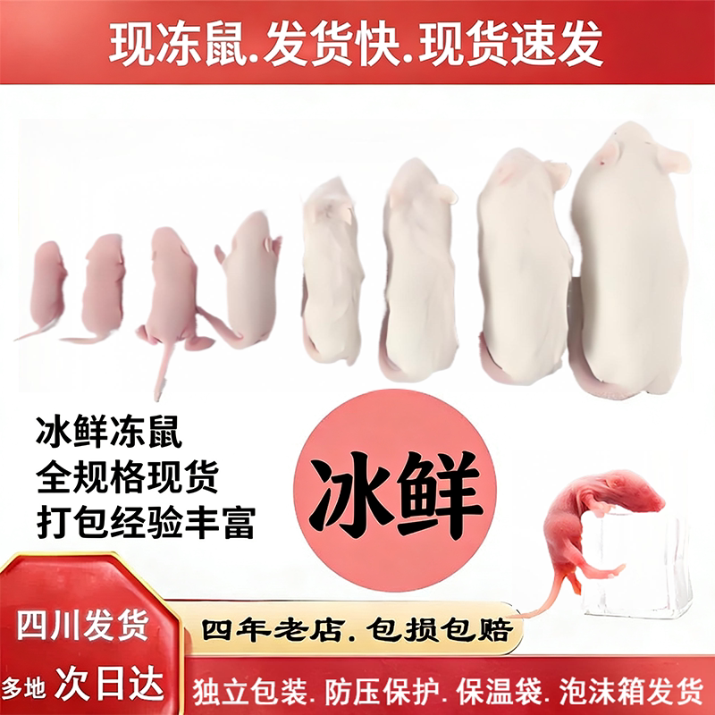 无菌冻鼠小白鼠爬宠饲料蛇苗开口料红皮粉皮白霜跳跳独立包装防压