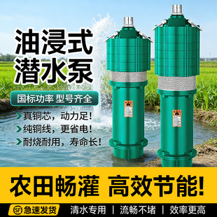 QD多级潜水泵家用220V油浸泵深井泵380V高扬程小老鼠大流量抽水泵