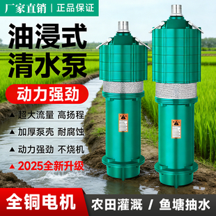 农用灌溉纯铜水井抽水两相电高扬程潜水泵380v大功率高扬程潜水泵