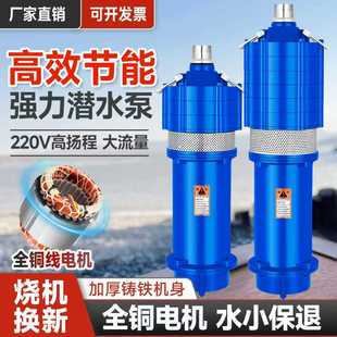 220v高压水泵高扬程大流量家叶轮潜水泵高扬程大流量两相电灌溉