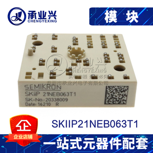 SKIIP21NEB063T1 功率模块 IGBT模块 原装正品 SEMIKRON 测好