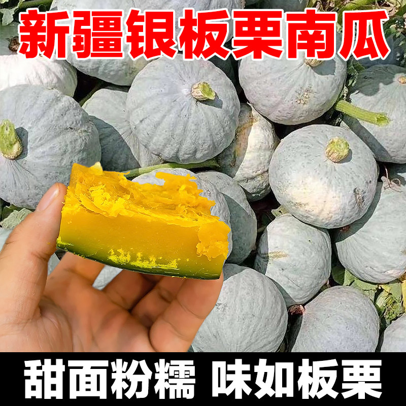 新疆银栗南瓜正宗沙漠老南瓜新鲜现摘银板栗南瓜粉面香甜宝宝辅食