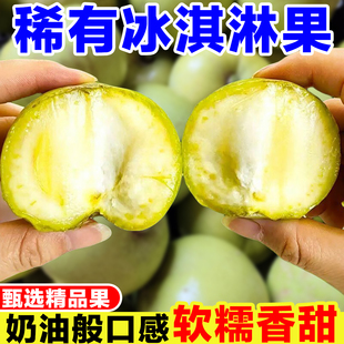 稀有冰淇淋果新鲜白柿广东状元红冰激凌果当季水果现摘奶香雪糕果