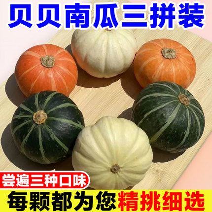 贝贝南瓜三拼装奶油贝贝南瓜绿贝贝金贝贝白贝贝南瓜组合三色南瓜