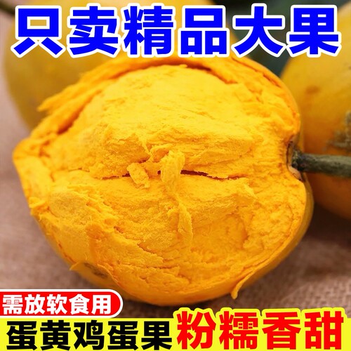 云南特产鸡蛋果新鲜当季现摘黄心蛋黄果稀有罕见热带水果粉糯香甜