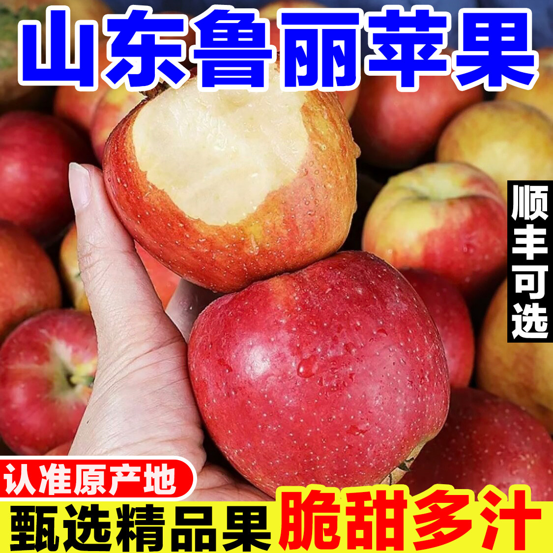 山东鲁丽苹果新鲜当季孕妇水果现摘嘎啦苹果迷你小苹果脆甜红苹果