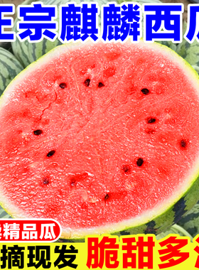 正宗麒麟西瓜新鲜当季孕妇水果现摘8424美都西瓜薄皮手撕西瓜整箱