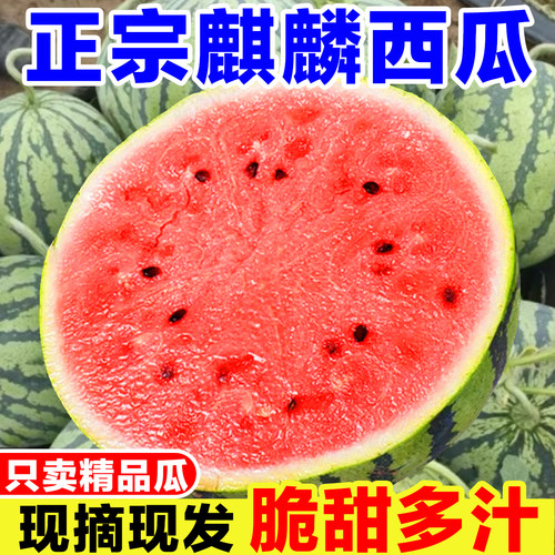 正宗麒麟西瓜新鲜当季孕妇水果现摘8424美都西瓜薄皮手撕西瓜整箱