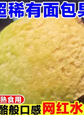 稀有面包果鲜果当季现摘猴面包果新鲜罕见热带水果网红面包树果实
