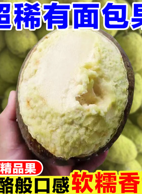 新鲜面包果当季现摘面包树果实稀有热带水果面包果鲜果冰淇淋口感
