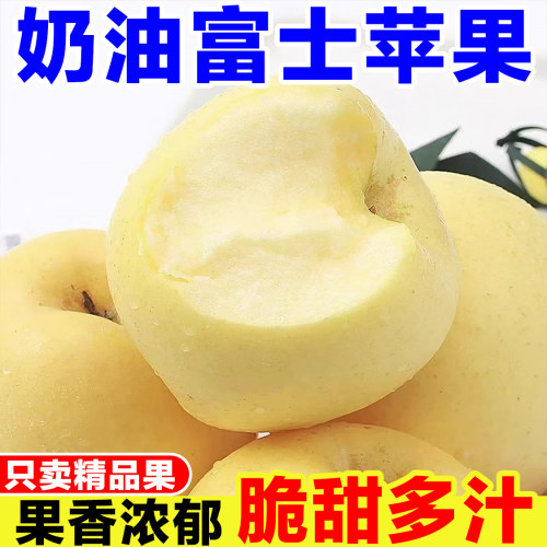 正宗烟台奶油富士苹果正宗栖霞应季新鲜水果冰糖心脆甜多汁新品种