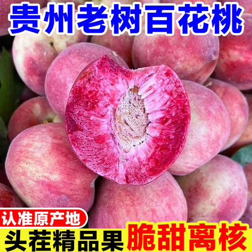 贵州百花桃新鲜血桃当季孕妇水果现摘脆甜水蜜桃红肉桃子红心毛桃