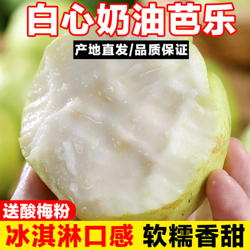 福建新鲜黄金奶油白芭乐冰激凌芭乐软糯土番石榴孕妇水果鸡屎果