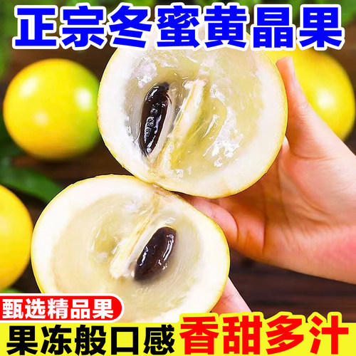 正宗冬蜜黄晶果新鲜当季现摘黄金果黄皮牛奶果罕见稀有热带水果