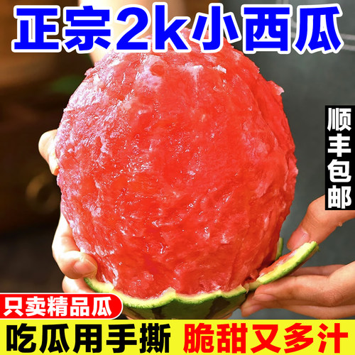 正宗2k西瓜新鲜小糖丸西瓜当季水果现摘冰糖子小西瓜迷你薄皮西瓜