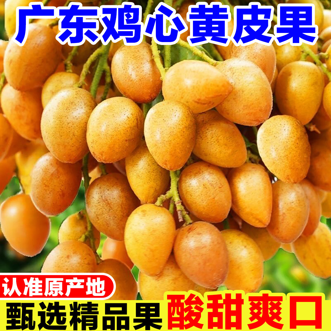 广东黄皮果新鲜鸡心果当季孕妇水果现摘酸甜黄弹子非冷冻黄皮果