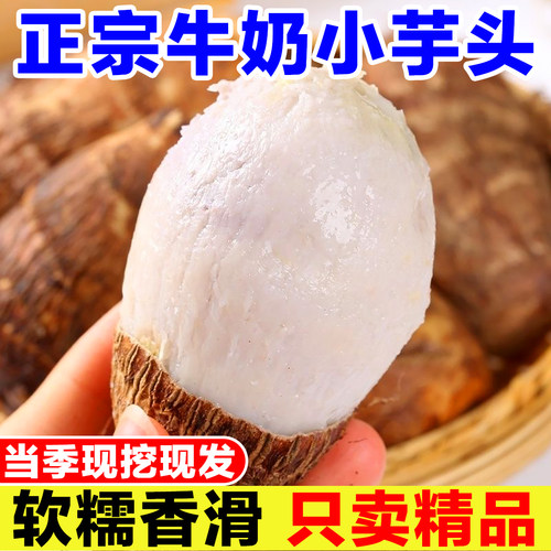 正宗牛奶芋头新鲜蔬菜现挖毛芋头奶油芋头软糯香滑芋艿小香芋整箱