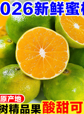云南青皮蜜桔新鲜橘子当季孕妇水果现摘酸甜桔子早熟绿皮柑橘蜜橘