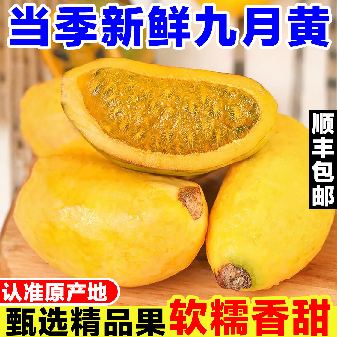 野生九月黄新鲜当季现摘八月炸香瓜罕见稀有网红水果九月瓜木通果