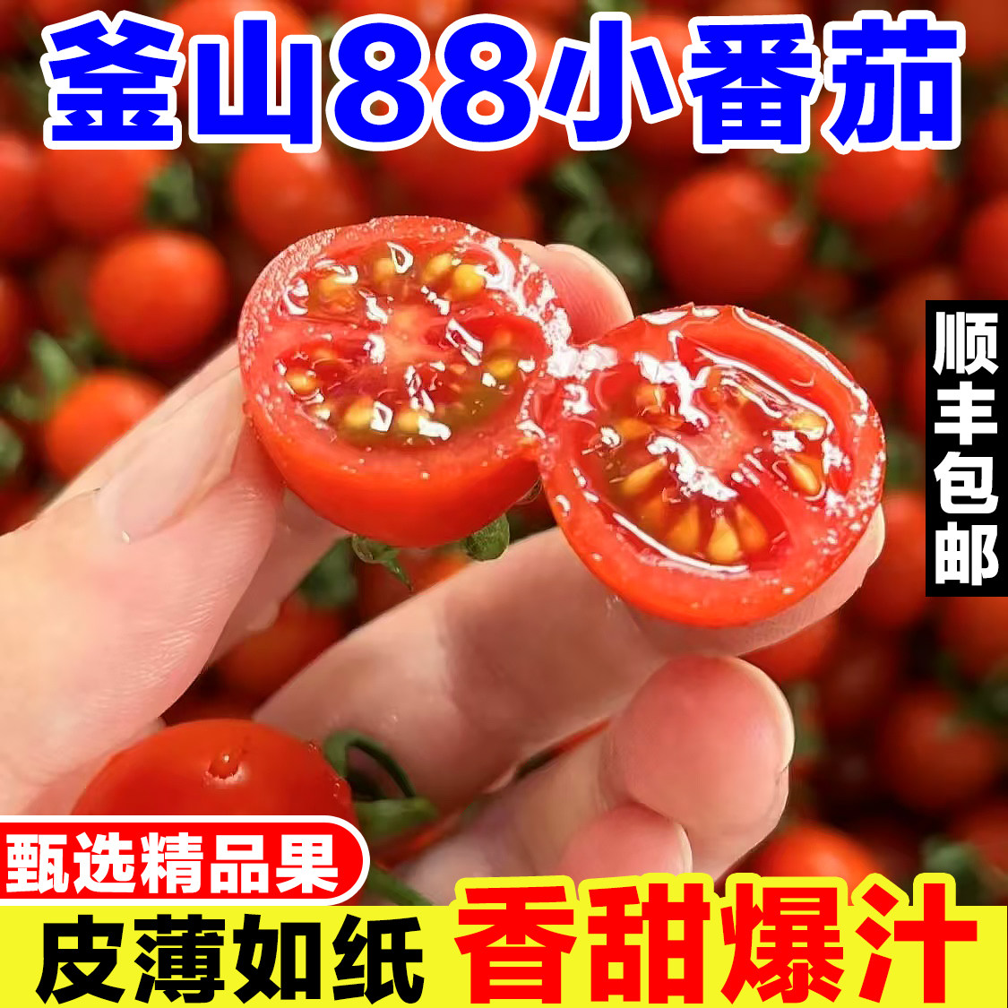 釜山88小番茄新鲜圣女果玲珑果千禧果迷你樱桃番茄生吃水果小柿子