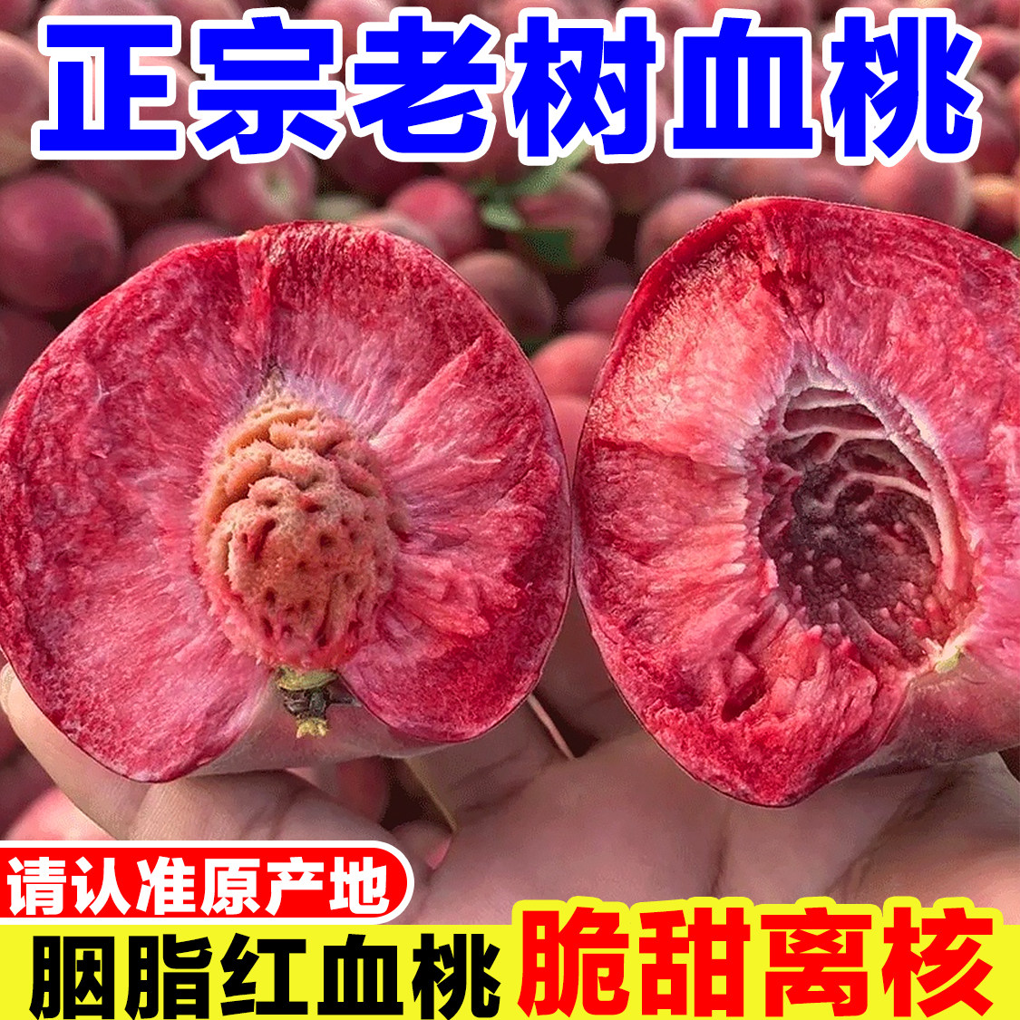 湖北老树血桃新鲜当季孕妇水果现摘胭脂红红肉桃子脆甜离核毛桃子