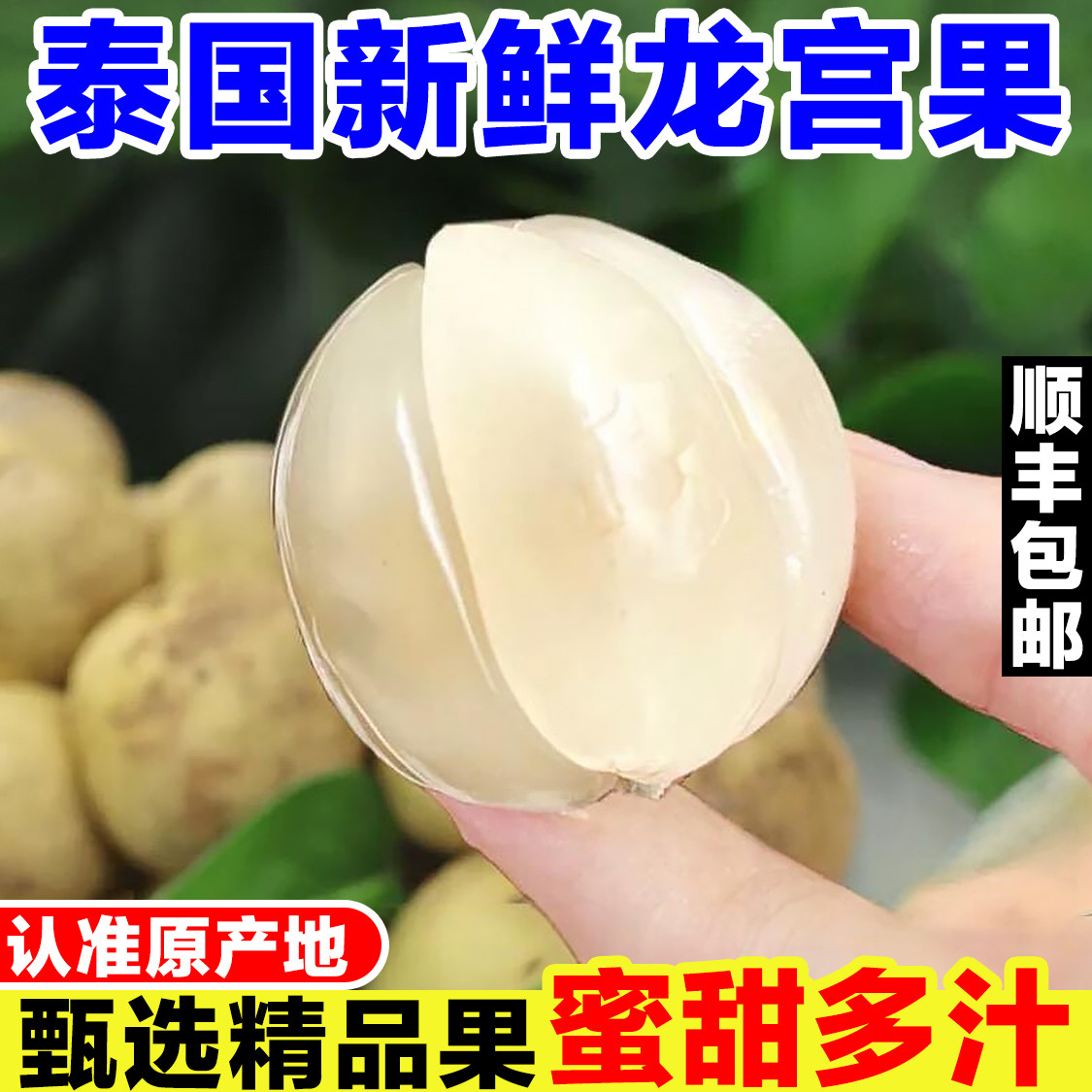 泰国进口龙宫果新鲜龙贡果罕见稀有热带水果当季现摘椰色果爱情果