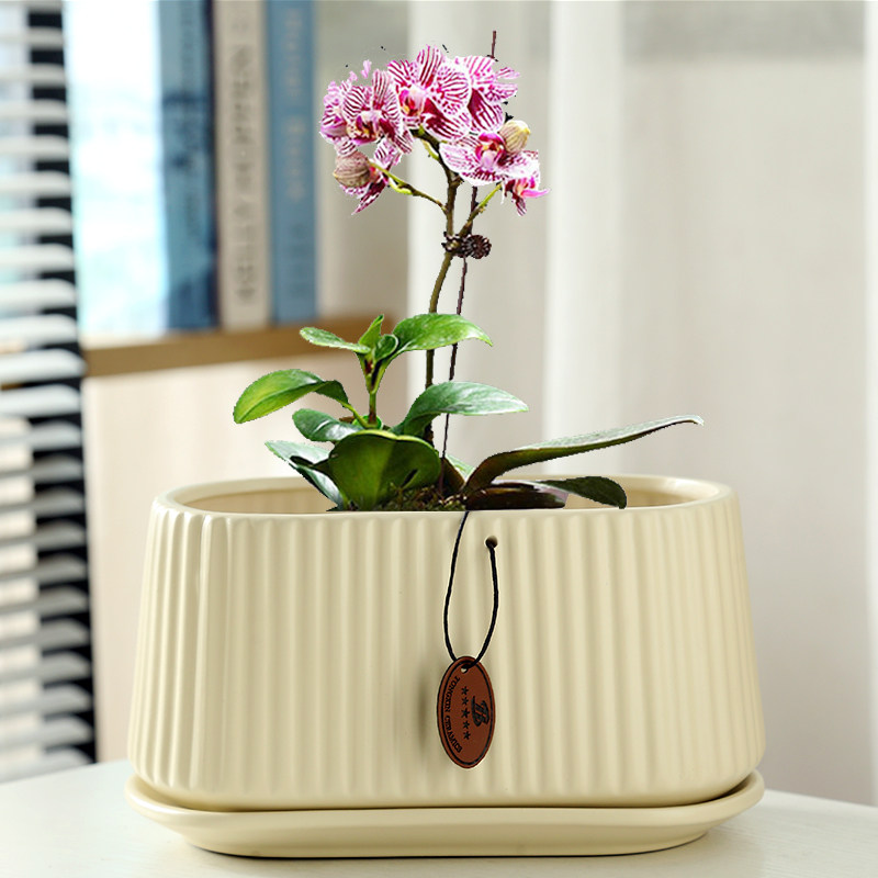简约欧式陶瓷花盆绿植大口径创意蝴蝶兰专用长方形家用绿植花盆