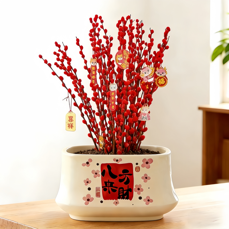 爆款年宵花专用捡漏陶瓷简约大口径陶瓷盆家用蝴蝶兰多肉绿植专用,鲜花速递/花卉仿真/绿植园艺,花盆,淘宝优惠券,粉丝福利购,淘宝优惠卷