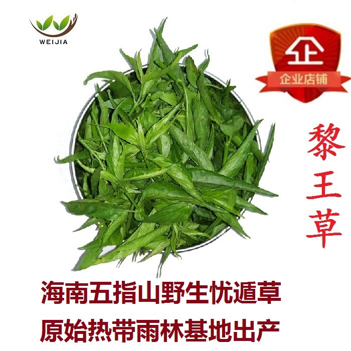 五指山忧遁草鲜叶优盾草干叶黎王草优顿草鳄嘴花正宗海南全国包邮