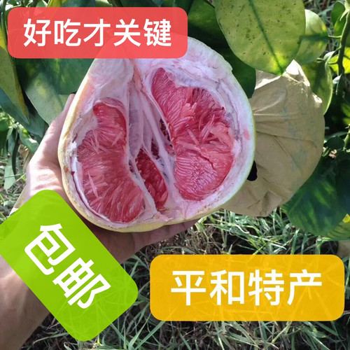 正宗福建平和琯溪三红蜜柚当季新鲜水果柚子现摘包邮