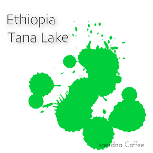 水洗 120 227g 埃塞俄比亚 包装 塔兰湖