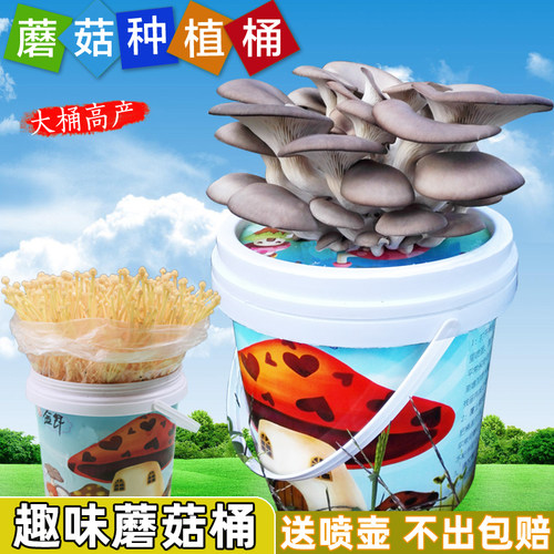 DIY趣味蘑菇桶蘑菇菌包喷水就长