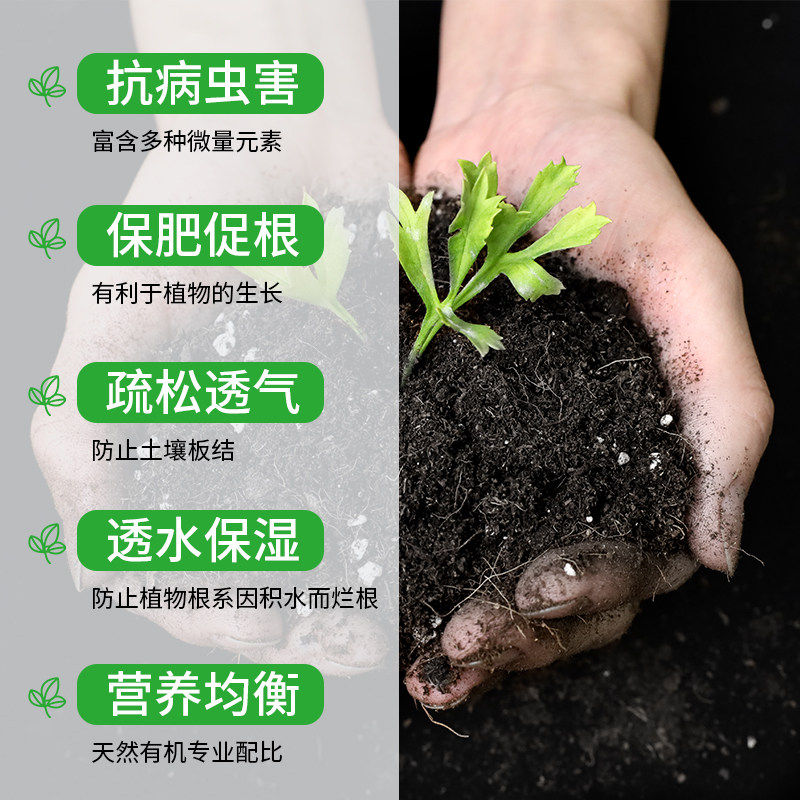 新疆包邮营养土家用养花