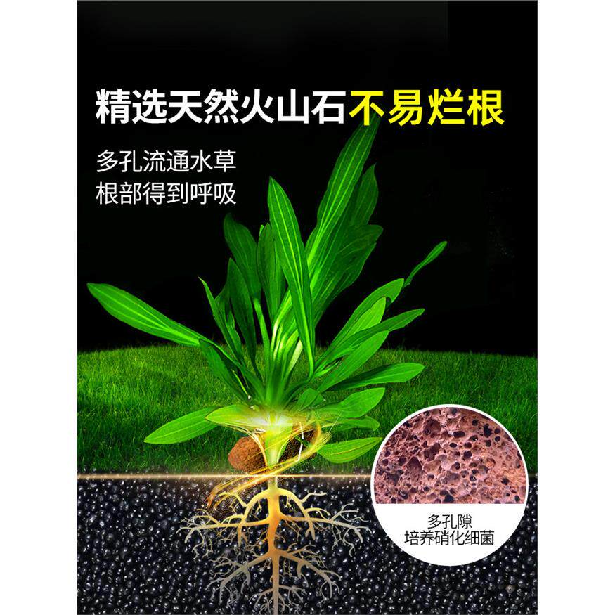 新疆包邮水草植物专用鱼