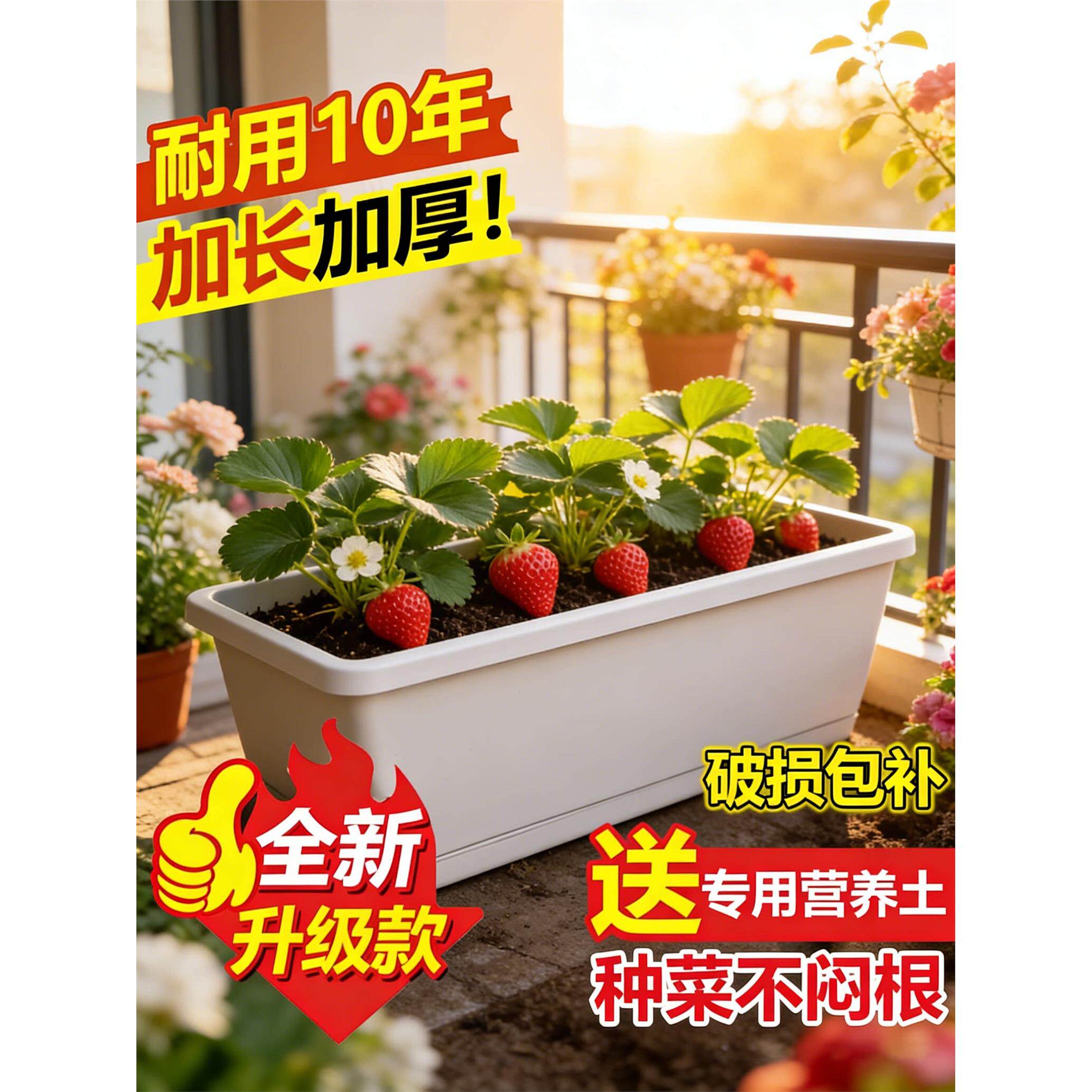 新疆西藏包邮塑料花盆家