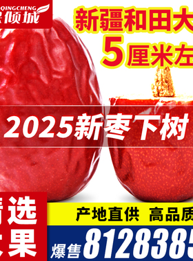 新疆红枣特级和田大枣零食特产一级大红枣子新蜜枣干果官方旗舰店