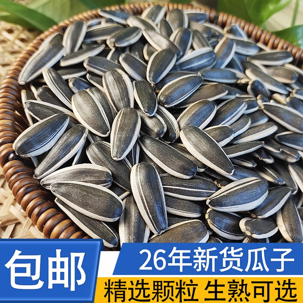 原味熟瓜子无添加内蒙古赤峰新货生葵花籽饱满古法新鲜炒干货坚果