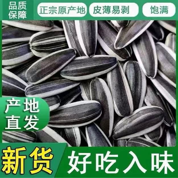 原味葵瓜子2026新货葵花籽生熟瓜籽非大颗粒休闲炒货零食团购批发