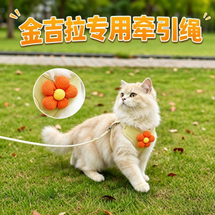金吉拉专用小猫牵引绳猫咪宠物幼猫防挣脱外出背带栓猫绳子不勒脖