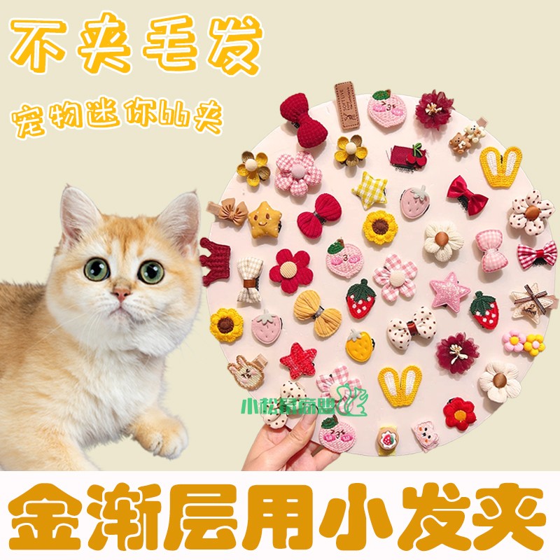 金渐层猫咪专用小配饰发夹头饰宠物发卡迷你小猫佩戴饰品发饰卡子