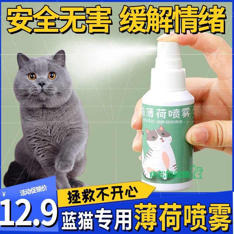 中国猫咪快乐水防应激情绪舒缓剂