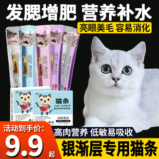 银渐层专用猫条补充营养猫咪零食成年猫幼猫零食金枪鱼味增肥发腮