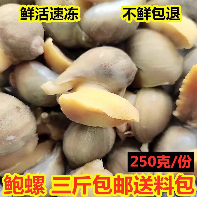 新鲜冷冻鲍螺老海鲜鲜活婆脚速冻黄金鲍珍珠鲍超大假鲍鱼贝类水产